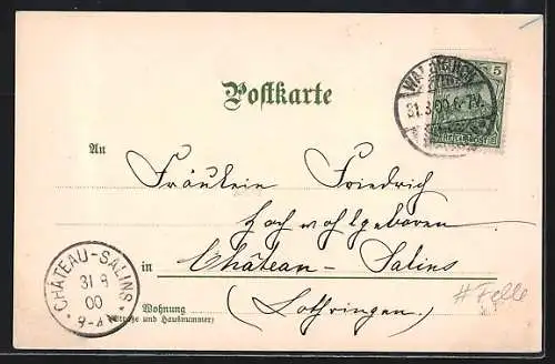 Künstler-AK sign. H. Daur: Altes Landhaus im Schwarzwald
