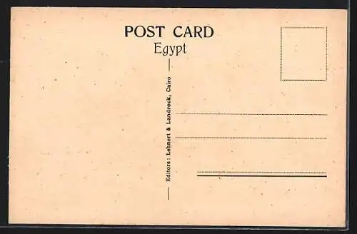 AK Cairo, Egyptian Museum