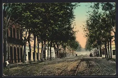 AK Mendoza, Calle San Martin