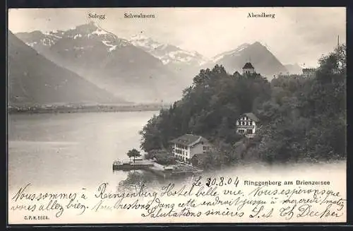 AK Ringgenberg am Brienzersee, Blick auf Sulegg, Schwalmern und Abendberg