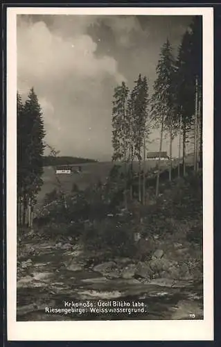 AK Weisswassergrund /Riesengebirge, Partie am Fluss