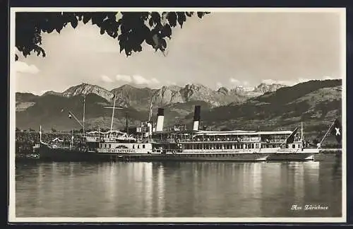 AK Raddampfer Stadt Rapperswil auf dem Zürichsee