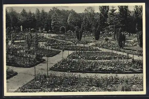 AK Sangerhausen, Rosarium