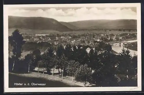 AK Höxter a. d. Oberweser, Teilansicht mit Bäumen