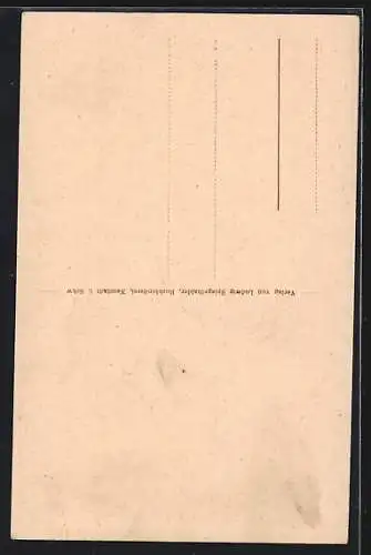 AK Neustadt i. Schwarzwald, Blick von einer Anhöhe zur Kirche