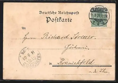 Lithographie Erfurt, Rathaus, Anger und Dom