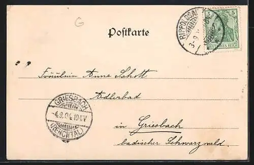 AK Rippoldsau im bad. Schwarzwald, Totalansicht im Kiefernzweig-Passepartout