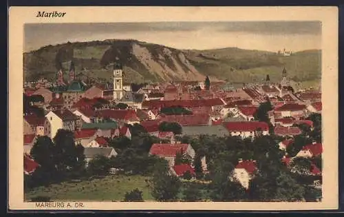 AK Maribor, Panorama mit Bäumen