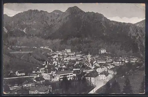 AK Trzic / Neumarktl, Totalansicht mit Gebirgspanorama