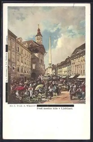 Künstler-AK Laibach, Pred mestno hiso