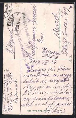 AK Cilli, Ortspartie mit Burgruine