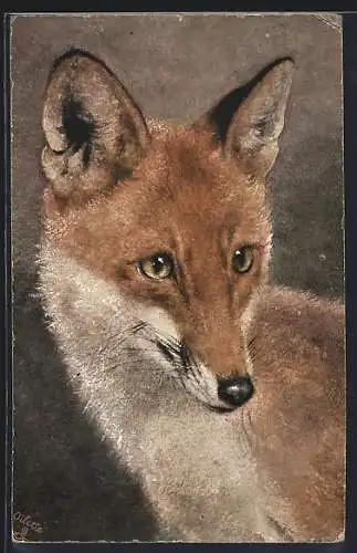 Künstler-AK Portrait vom Fuchs