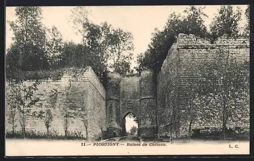 AK Picquigny, Ruines du Château