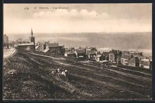 AK Onival, Vue générale
