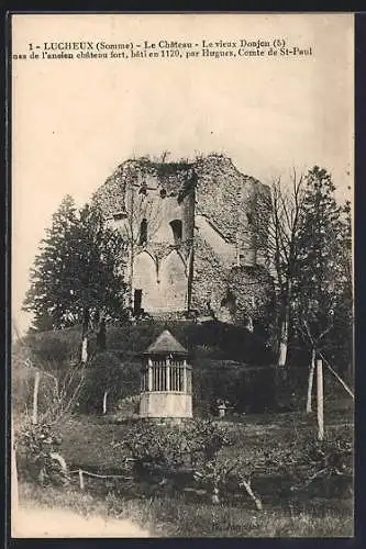AK Lucheux, Le Château, Le vieux Donjon (5), ruines de l`ancien château fort bâti en 1120 par Hugues