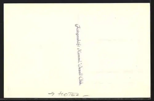 AK Inzell /Obb., Gasthaus Kreuzfeldhof gegen die Berge