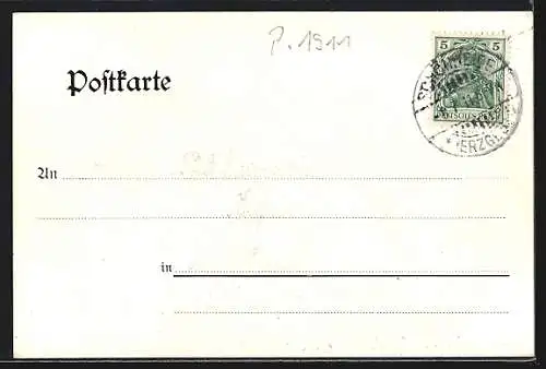 Lithographie Schönheide / Erzg., Südwest-Panorama, Gasthaus Carolagrün, Kuhberg
