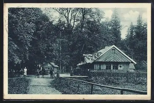 AK Groschlattengrün, Gasthof Waldhaus Teichelberg v. Georg Dressel