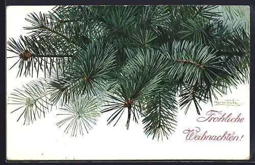 Künstler-AK Maxim Trübe: Tannenzweig zum Weihnachtsgruss