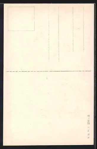 Künstler-AK Brüder Kohn (B.K.W.I) Nr.238: Eitelkeit muss leiden