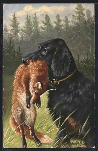 Künstler-AK M.Müller jun.: Setter mit Fuchs im Maul