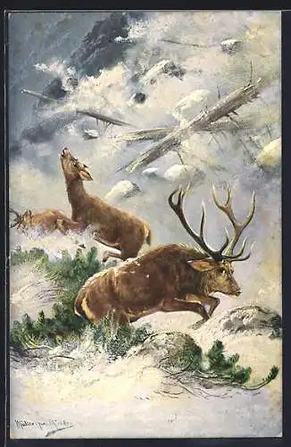 Künstler-AK M.Müller jun.: Rehe & Hirsche bei der Flucht