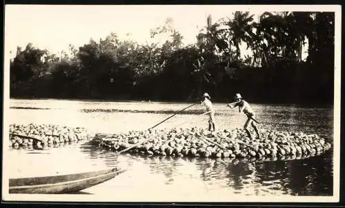 Fotografie unbekannter Fotograf, Ansicht Manila, Eingeborene transportieren Kokosnüsse übers Wasser, 1925