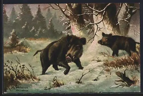 Künstler-AK Alfred Schönian: Wildschweine im winterlichen Wald