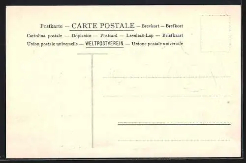 AK Reklame Continental Bodega Company, Länderwappen