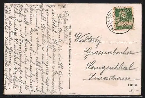 AK Grosshöchstetten, Bezirks-Spital mit Umgebung, Passepartout