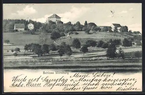 AK Winterthur, Schloss Mörsburg mit Umgebung