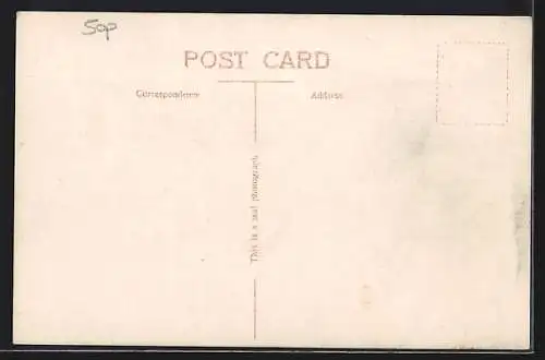 AK Southsea, South Parade Pier