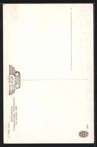 Künstler-AK Hochzeitsreise, Postkutsche, Szene aus dem 19. Jahrhundert