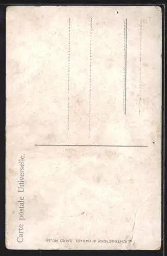 AK Native Woman, arabische Frau