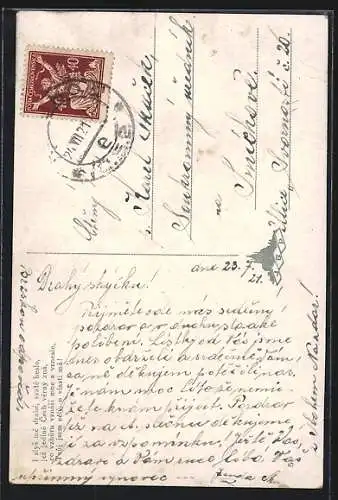 AK Prag, Sokol, Fahnenträger