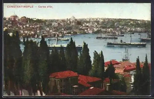 AK Constantinople, Corne d`Or, Panorama