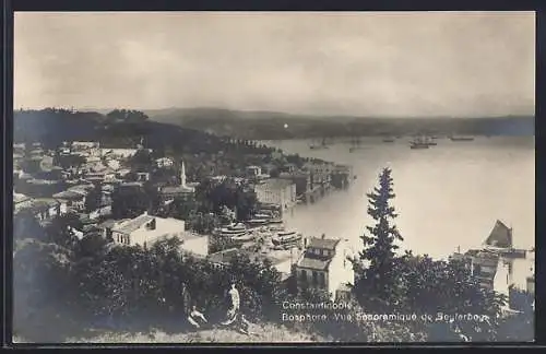 AK Constantinople /Bosphore, Vue panoramique de Beylerbey