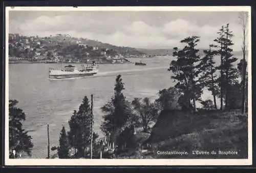 AK Constantinople, L`Entrée du Bosphore