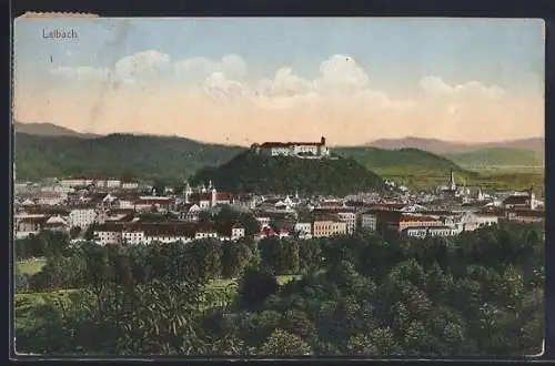 AK Ljubljana-Laibach, Gesamtansicht