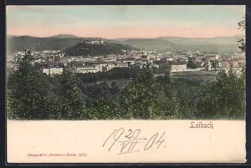 AK Laibach, Gesamtansicht mit Blick in die Ferne