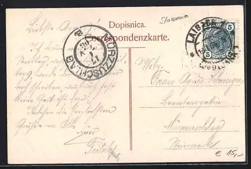 AK Laibach, Ortsansicht mit Steiner Alpen