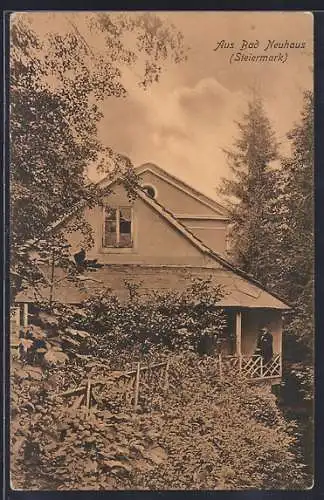 AK Bad Neuhaus, Blick auf ein Waldhaus