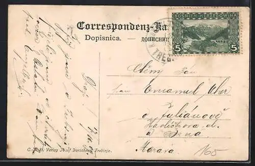 AK Trebinje, Panorama mit Strassenpartie