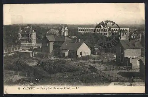 AK Cayeux, Vue générale et la Forêt
