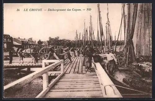 AK Le Crotoy, Déchargement des Coques