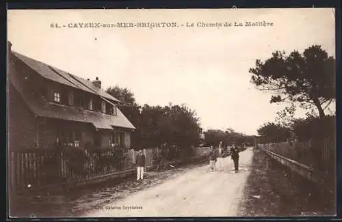 AK Cayeux-sur-Mer-Brighton, Le Chemin de La Mollière