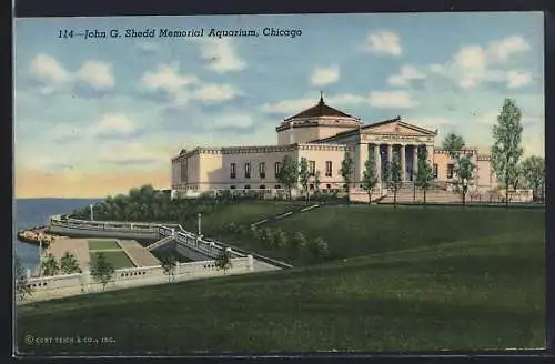 AK Chicago, IL, John G. Shedd Memorial Aquarium