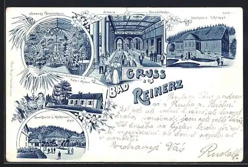 Lithographie Bad Reinerz, Gasthaus zur Schnappe, Inneres Palmenhaus, Innere Wandelbahn, Laue-Quelle und Molkenanstalt