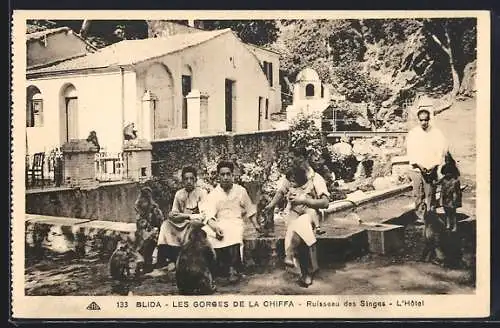 AK Blida, Les Gorges de al Chiffa, Ruisseau des Singes, L`Hôtel