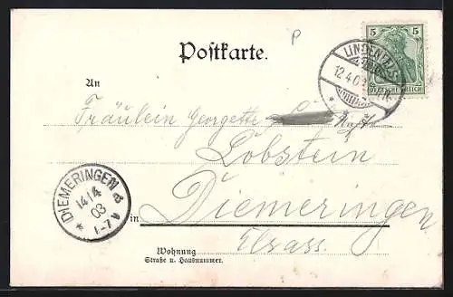Lithographie Lindenfels, Hotel Odenwald und Ortspanorama